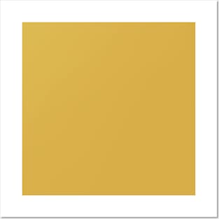 Spicy Mustard: Plain gold, sunny golden yellow, just color Posters and Art